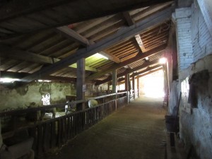 IMG_0167